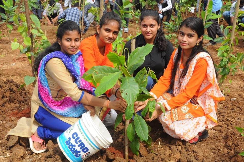 NIT Warangal Plantation photo 6