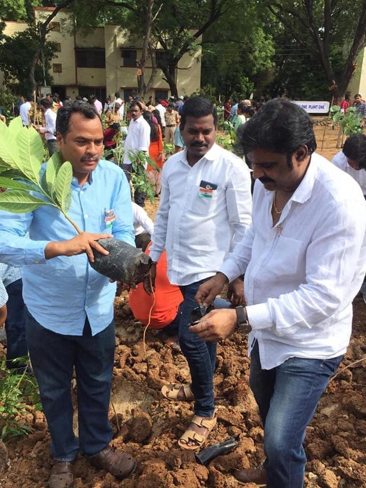 NIT Warangal Plantation photo 7