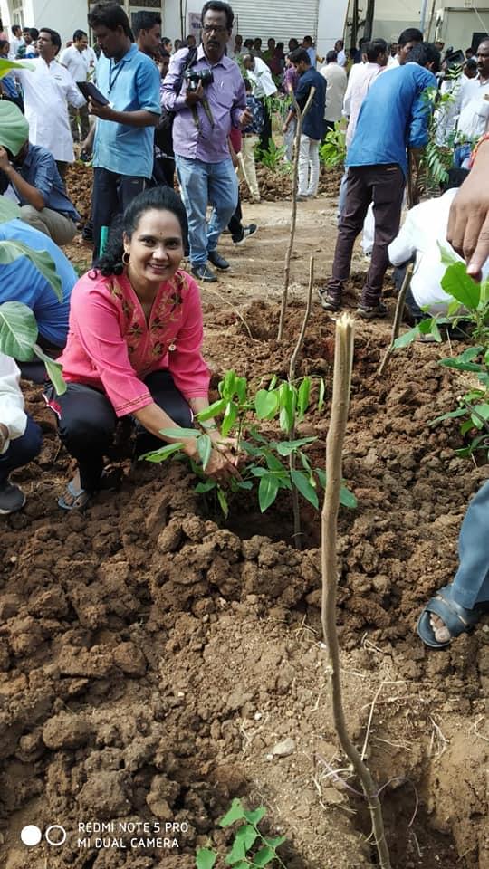 NIT Warangal Plantation photo 8