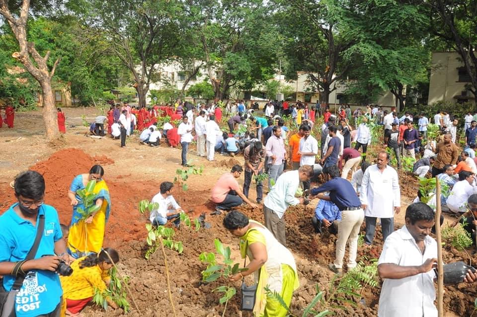 NIT Warangal Plantation photo 9