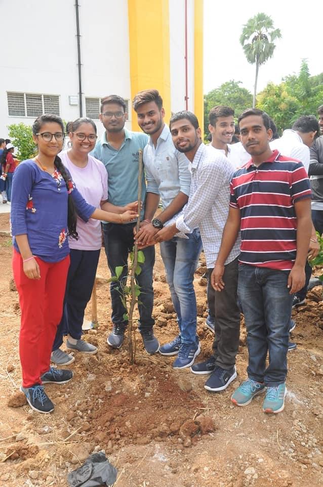 NIT Warangal Plantation photo 11