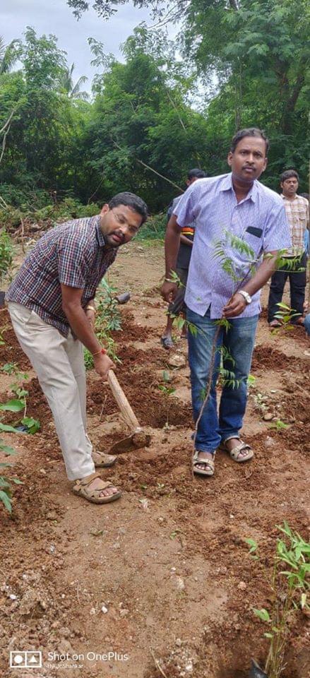 NIT Warangal Plantation photo 12