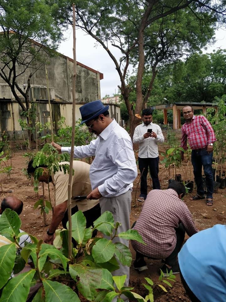 NIT Warangal Plantation photo 13