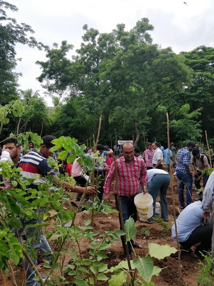 NIT Warangal Plantation photo 14