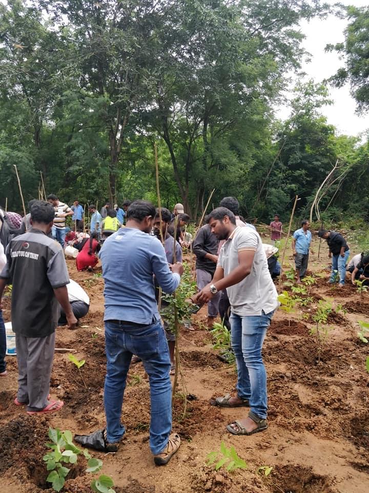 NIT Warangal Plantation photo 15