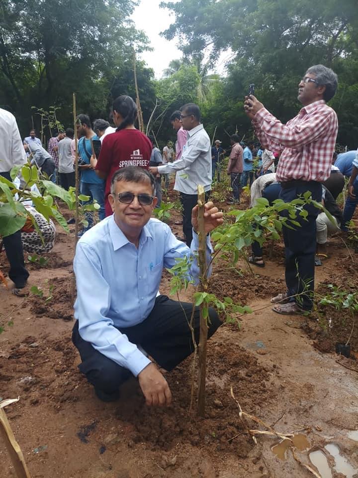 NIT Warangal Plantation photo 16