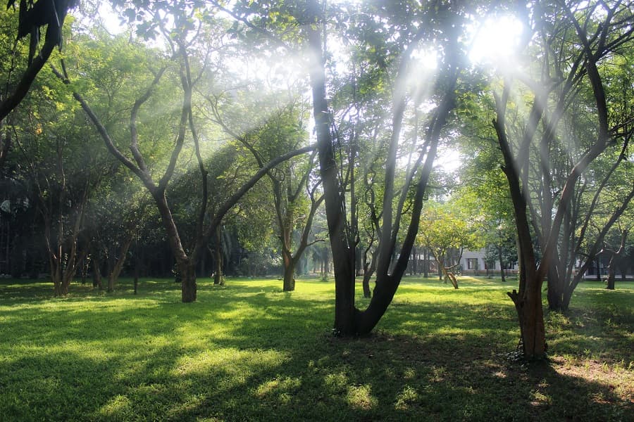 KL University Guntur Campus photo 6