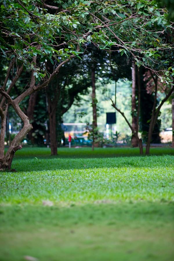 KL University Guntur Campus photo 10