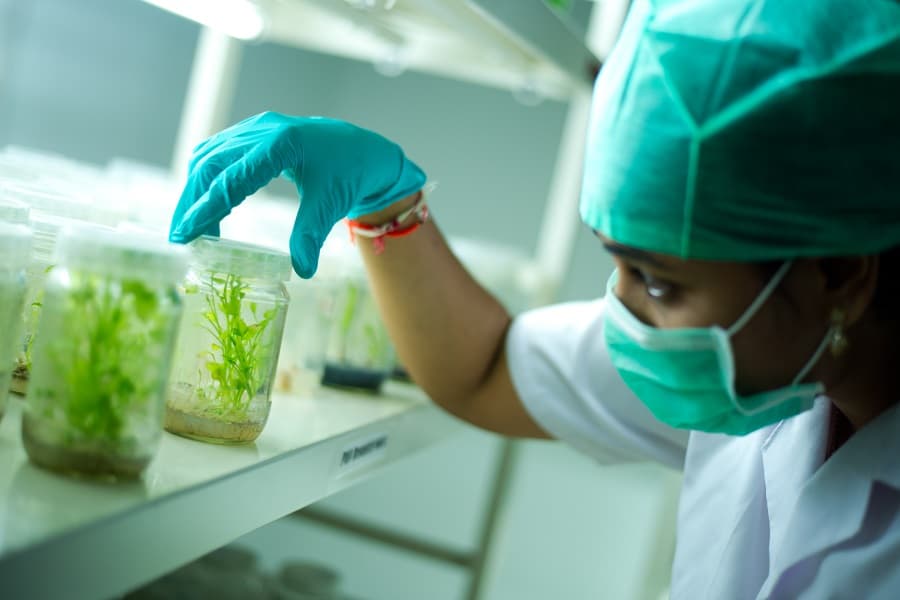 KL University Guntur Departments photo 5