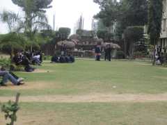MET Faculty of Pharmacy Moradabad College Activities photo 14
