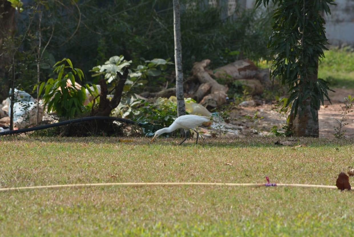 ASBM University Bhubaneswar Campus photo 1