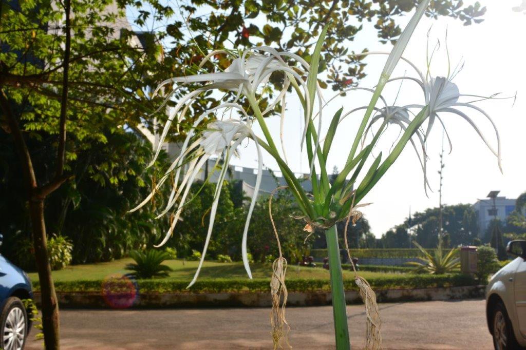 ASBM University Bhubaneswar Campus photo 9