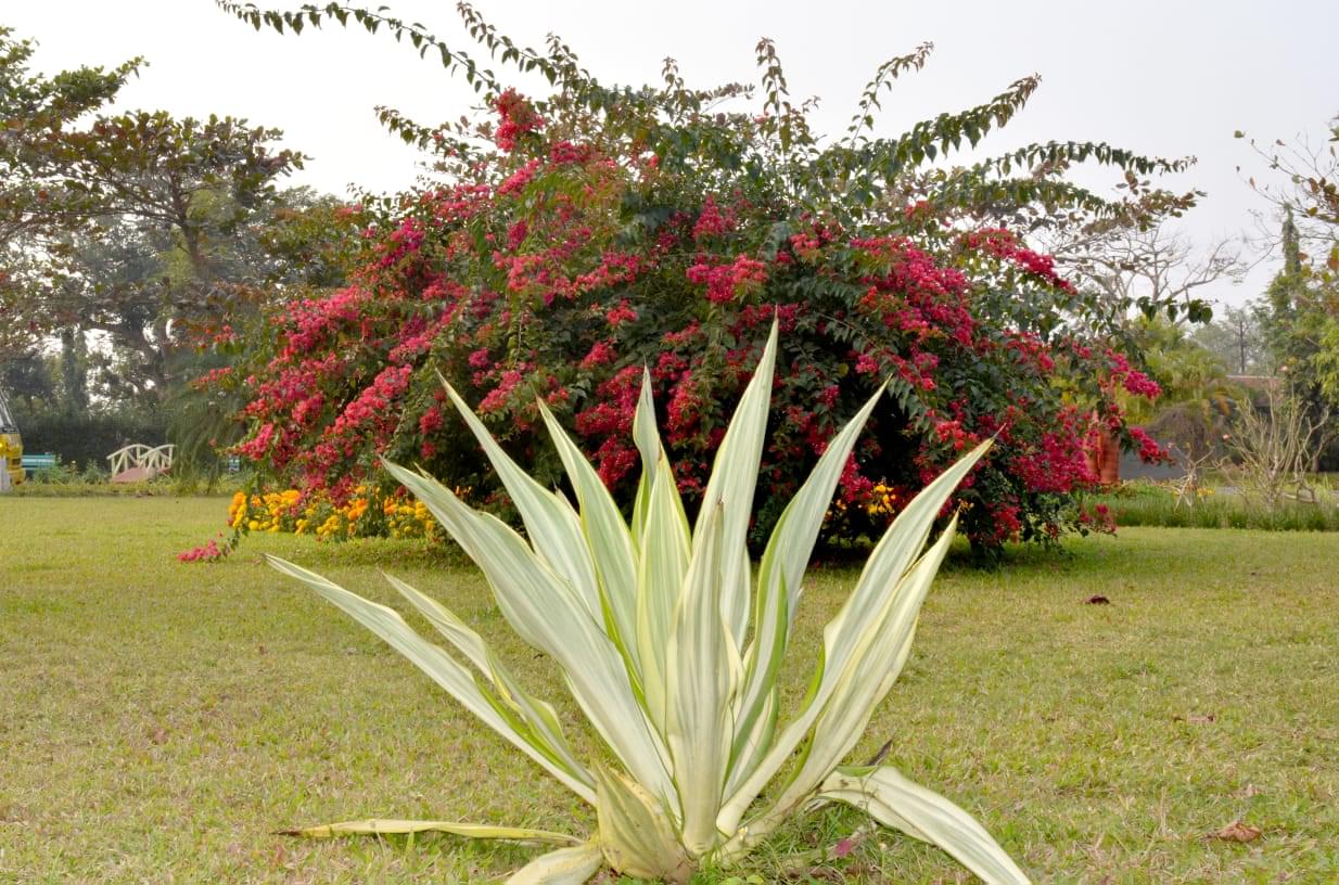 ASBM University Bhubaneswar Campus photo 11