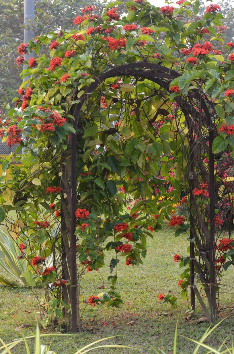 ASBM University Bhubaneswar Campus photo 12