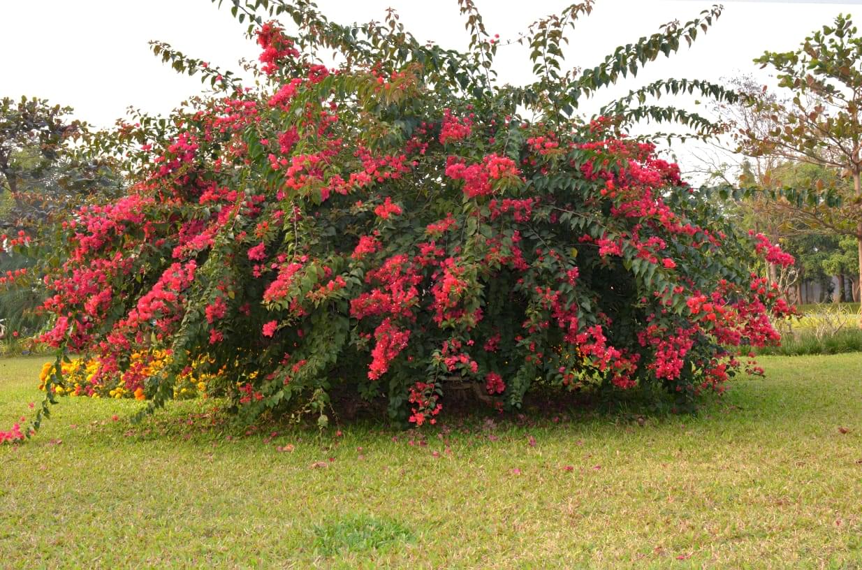 ASBM University Bhubaneswar Campus photo 17