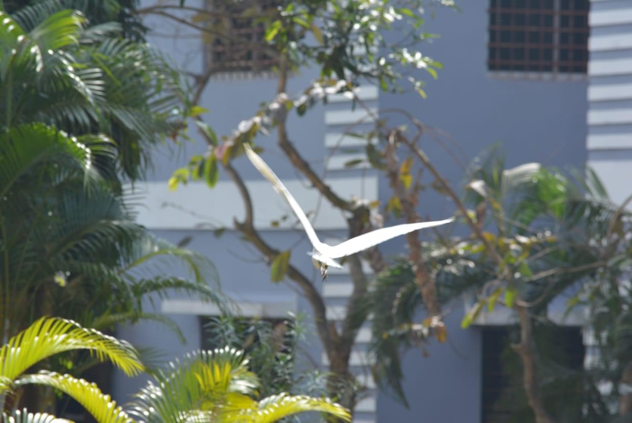 ASBM University Bhubaneswar Infrastructure photo 1