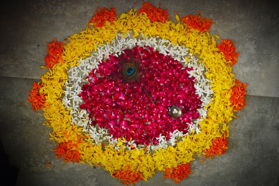 Narayana Business School Ahmedabad Janmasthmi Celebrations photo 19