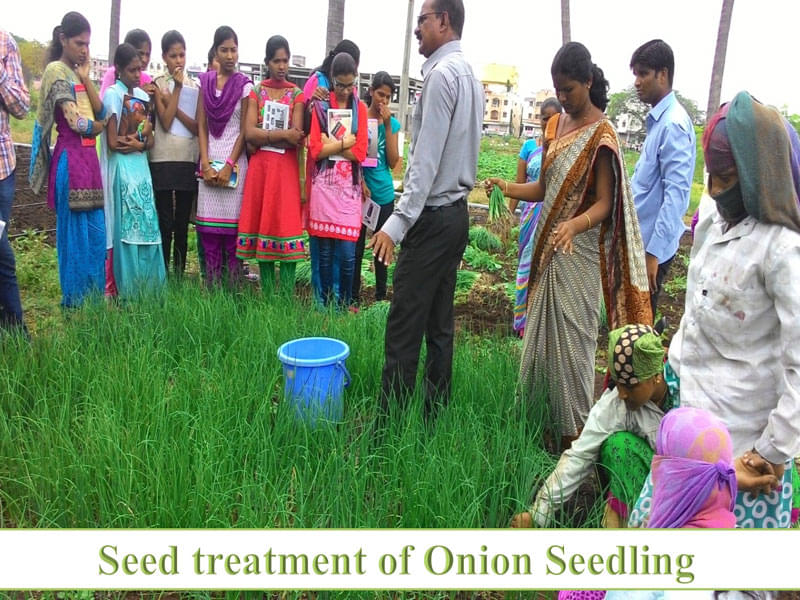 H. H. Sri Sri Murlidhara Swamiji College of Horticulture Nashik Activities photo 3