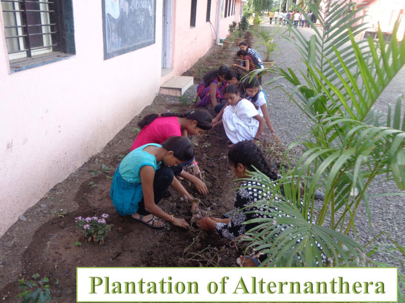 H. H. Sri Sri Murlidhara Swamiji College of Horticulture Nashik Activities photo 5