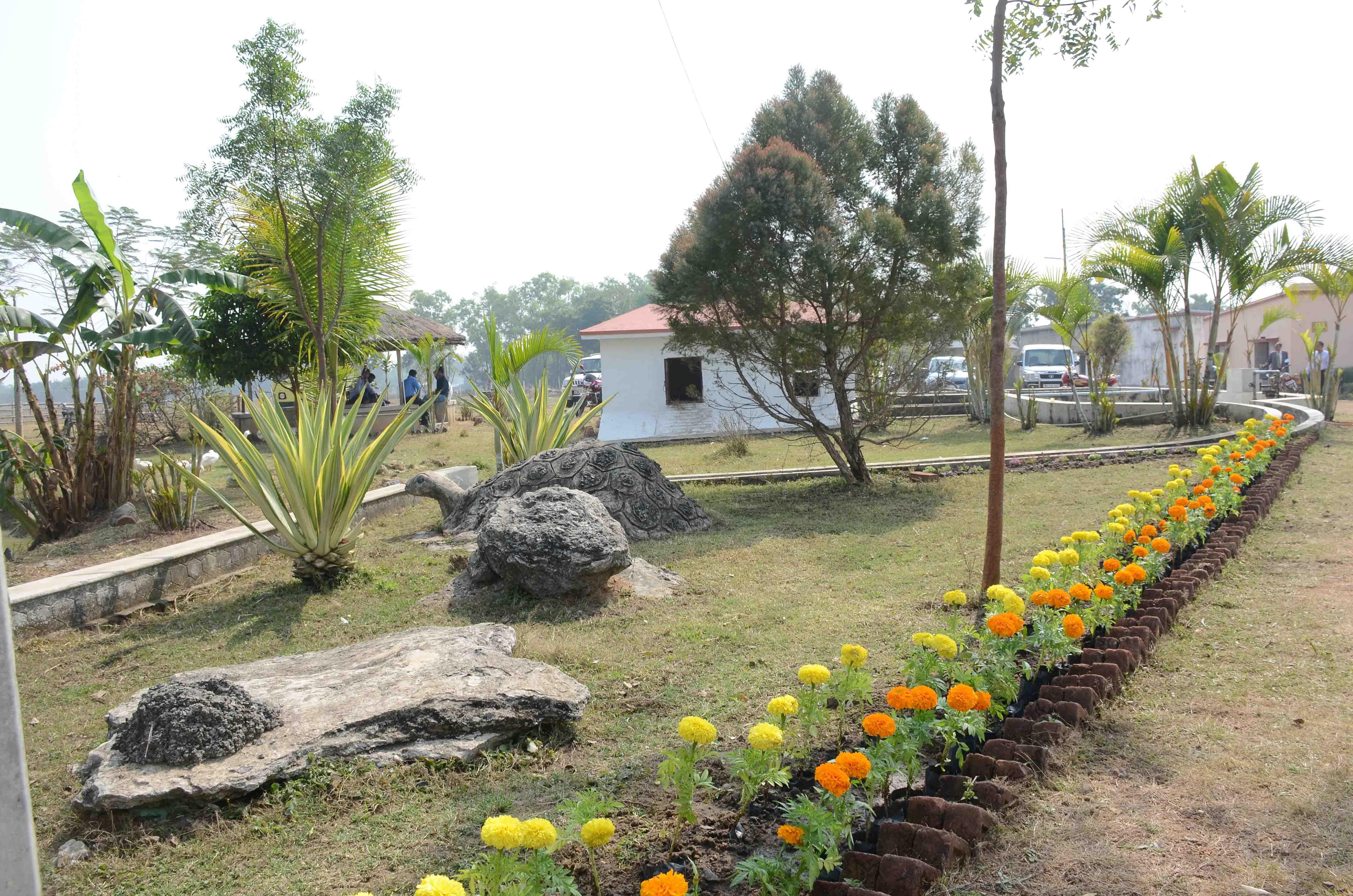 Seacom Skills University Birbhum Campus photo 9