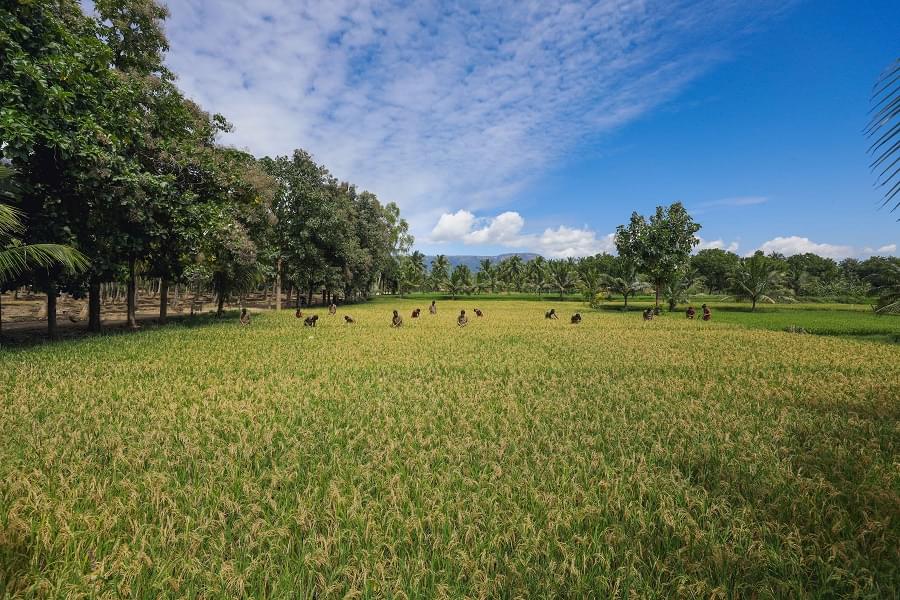 Karunya University Thrust Areas photo 8