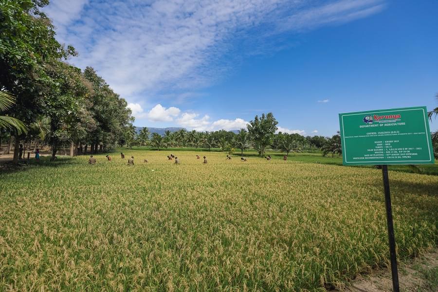 Karunya University Events photo 14