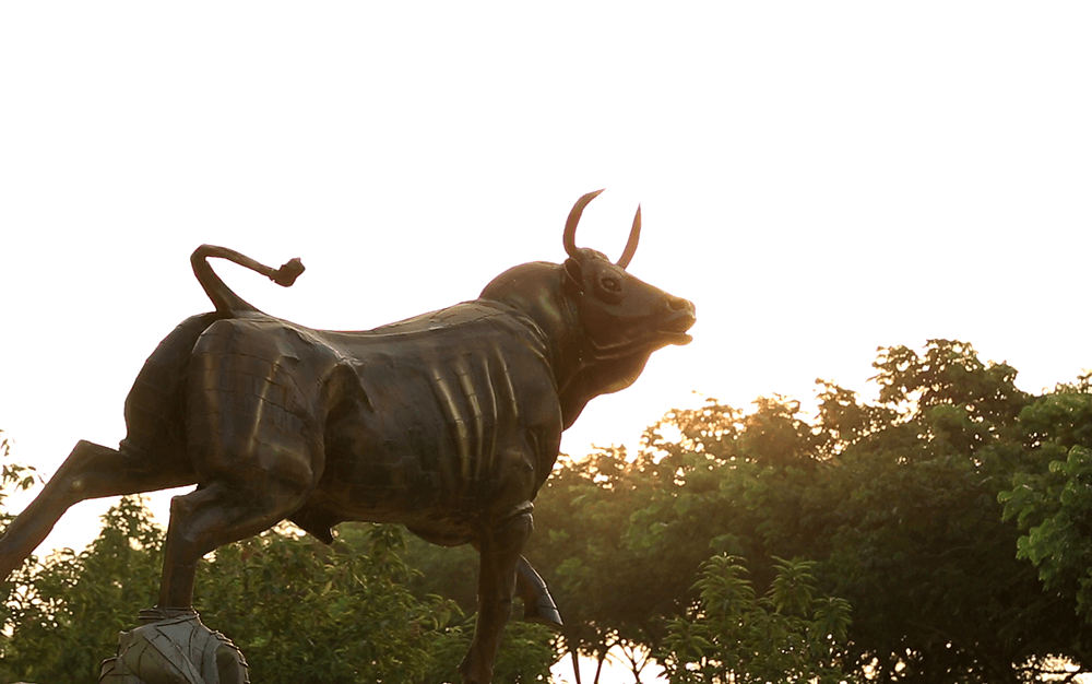 Sandip University Madhubani Infrastructure photo 6