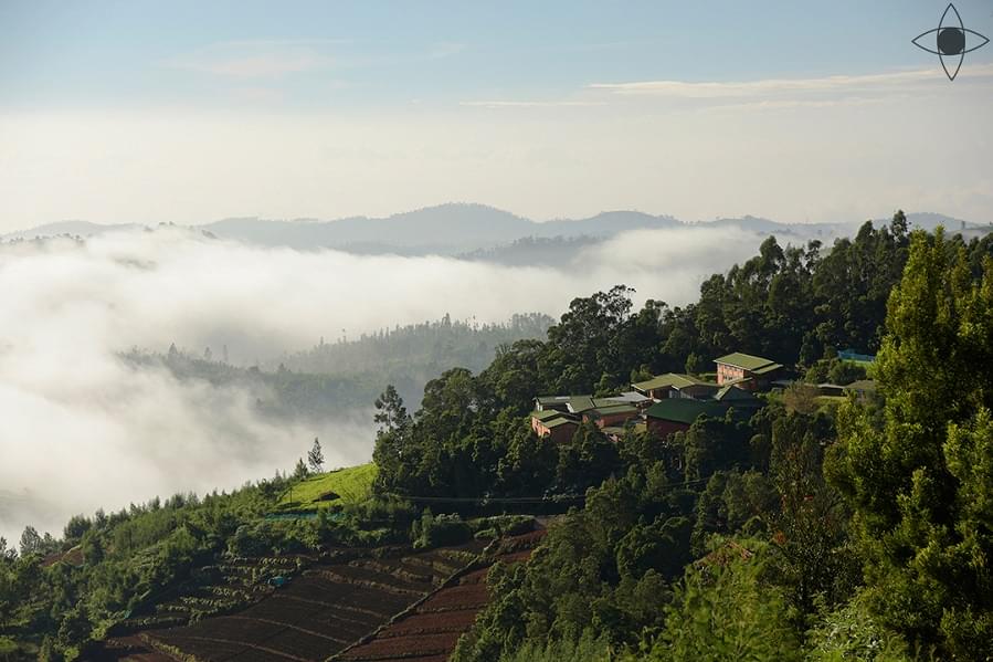 Light and Life Academy Ooty Campus Exterior photo 6