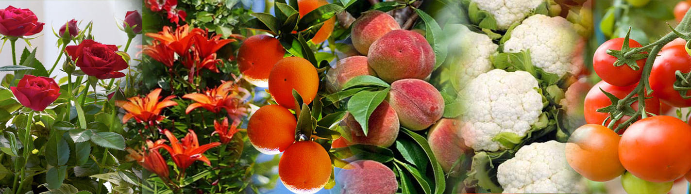 MHU Event and Building photo 3