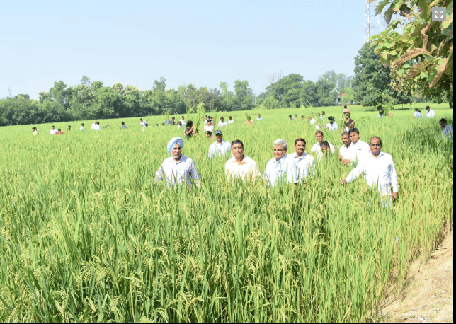 NDUAT NDUAT - Field Visit photo 1