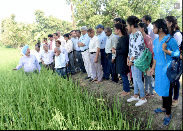 NDUAT NDUAT - Field Visit photo 2