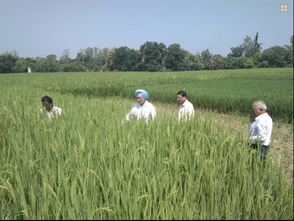 NDUAT NDUAT - Field Visit photo 3