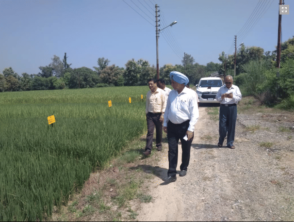 NDUAT NDUAT - Field Visit photo 4