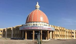 Kamdhenu University Gandhinagar Campus View photo 6