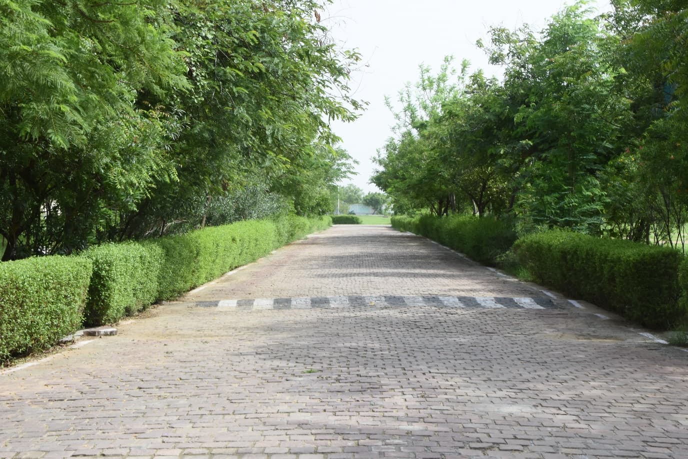 Dr. K.N. Modi University Newai hostel photo 15