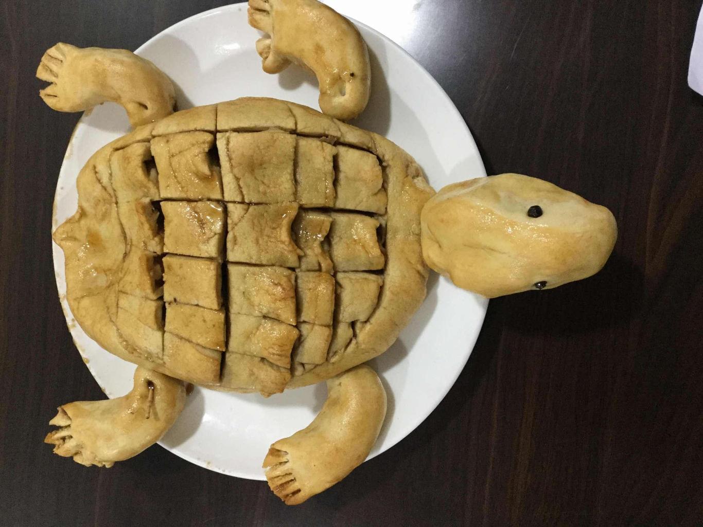 Cognos Institute of Hotel Management Hyderabad Campus photo 5