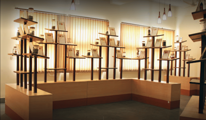 KIPM Gorakhpur Infrastructure photo 12