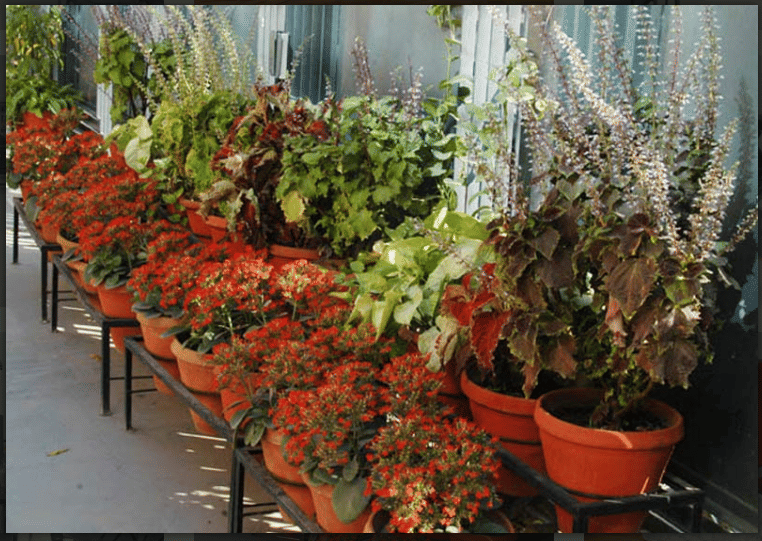 College of Management Studies Kanpur Facility photo 4