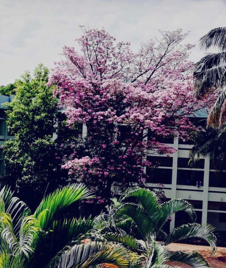 T John Institute of Technology Bangalore Academic Building photo 4