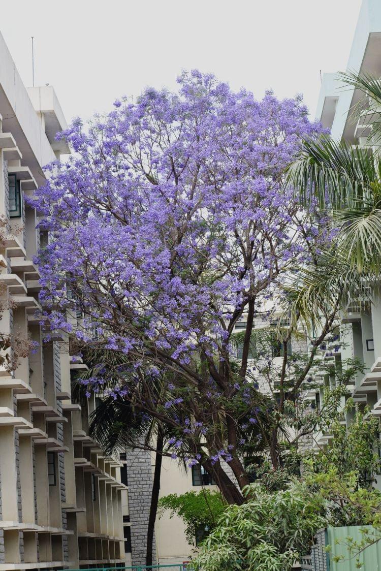 T John Institute of Technology Bangalore Academic Building photo 5