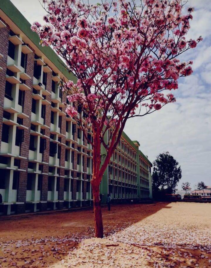 T John Institute of Technology Bangalore Academic Building photo 6