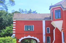 Government Arts College Ooty Campus photo 14