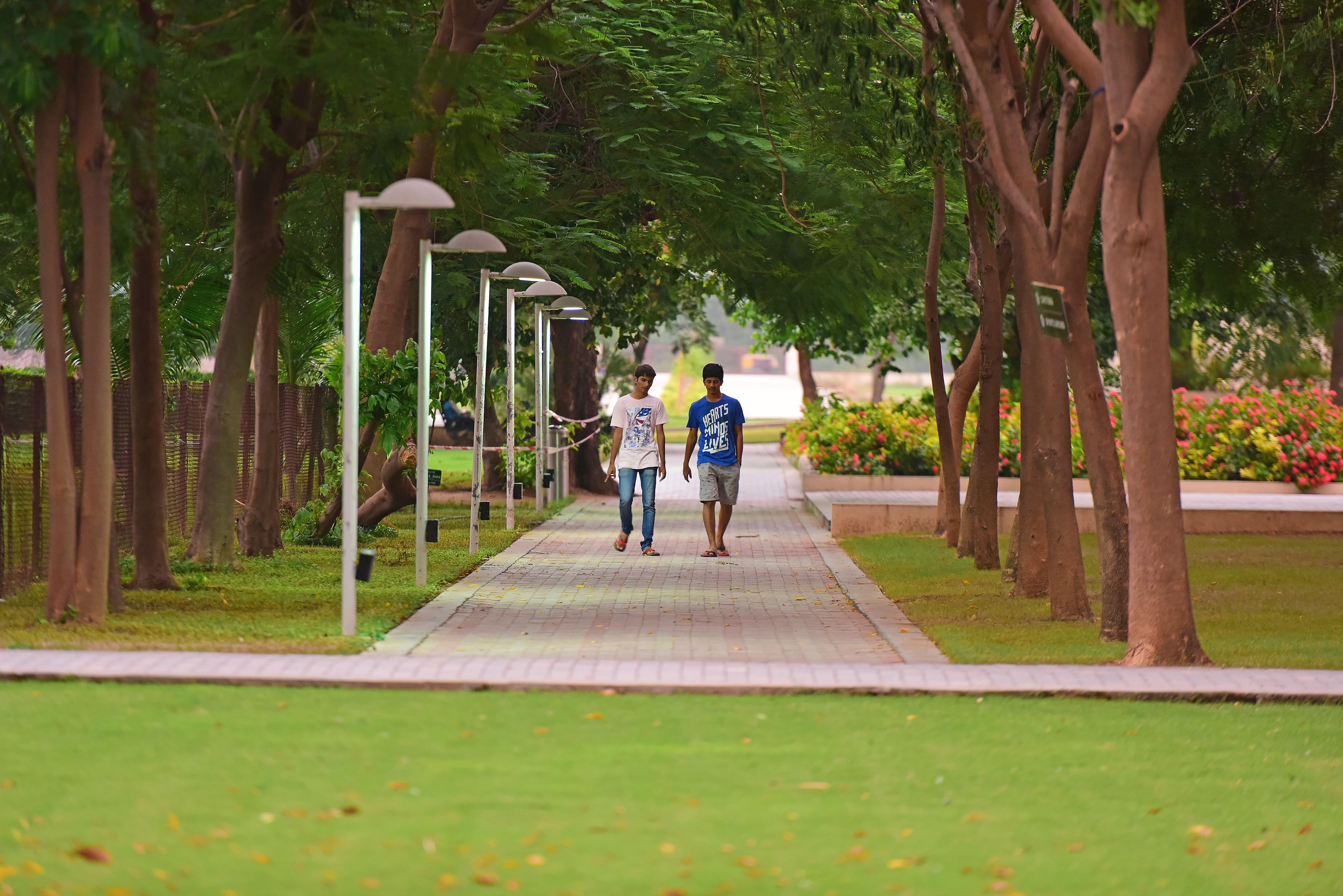 PDEU Academic Building photo 15