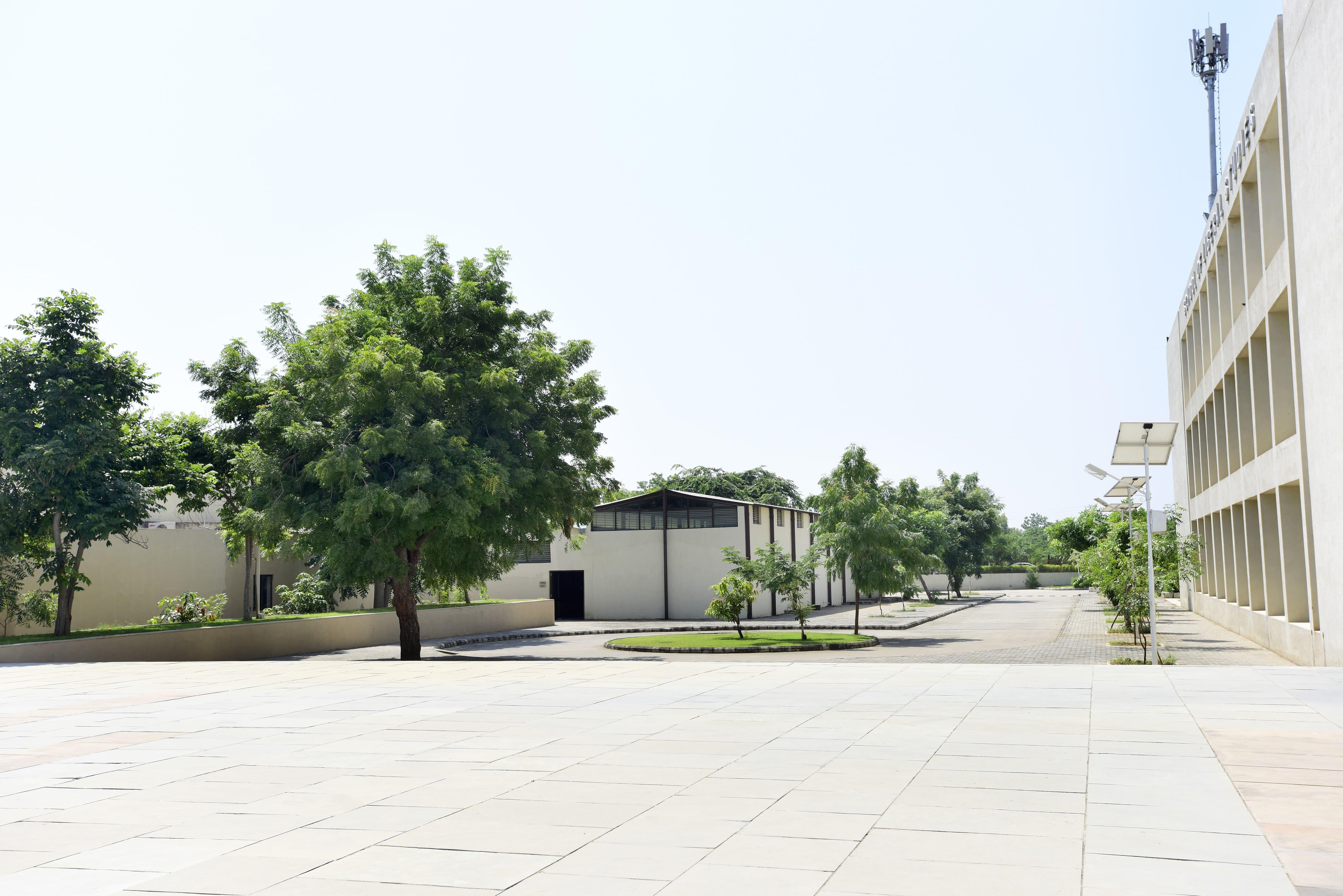 PDEU Academic Building photo 28