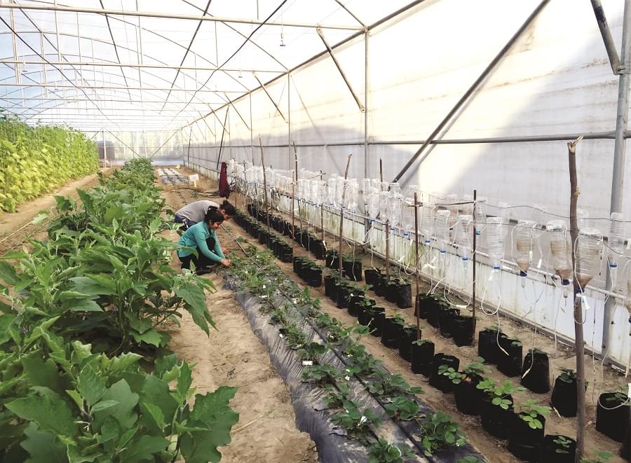 LPU Agriculture photo 1