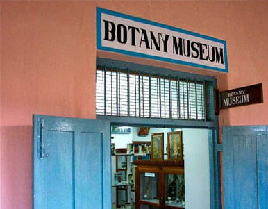 Dantuluri Narayana Raju college West Godavari Infrastructure photo 6