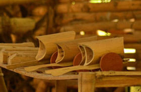 Davinci School of Design and Architecture Chennai Activities photo 7