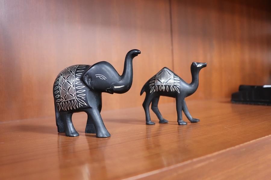 MGMU Student Activities photo 16