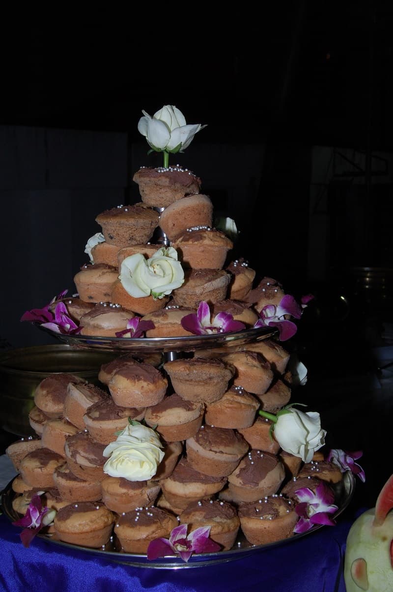 MGM Institute of Hotel Management Aurangabad Alumni photo 3