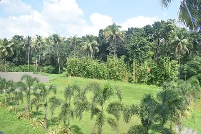 St. Gregorios Dental College Ernakulam Campus and Infrastructure photo 8